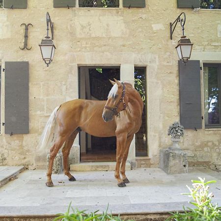 Bed and Breakfast Domaine Cap Rubis Paradou Exterior foto
