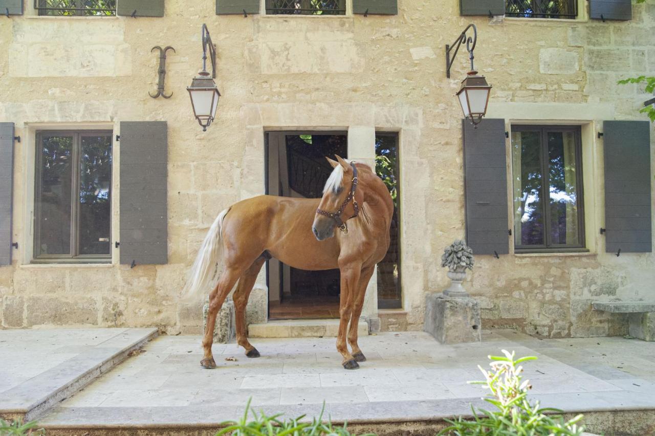 Bed and Breakfast Domaine Cap Rubis Paradou Exterior foto