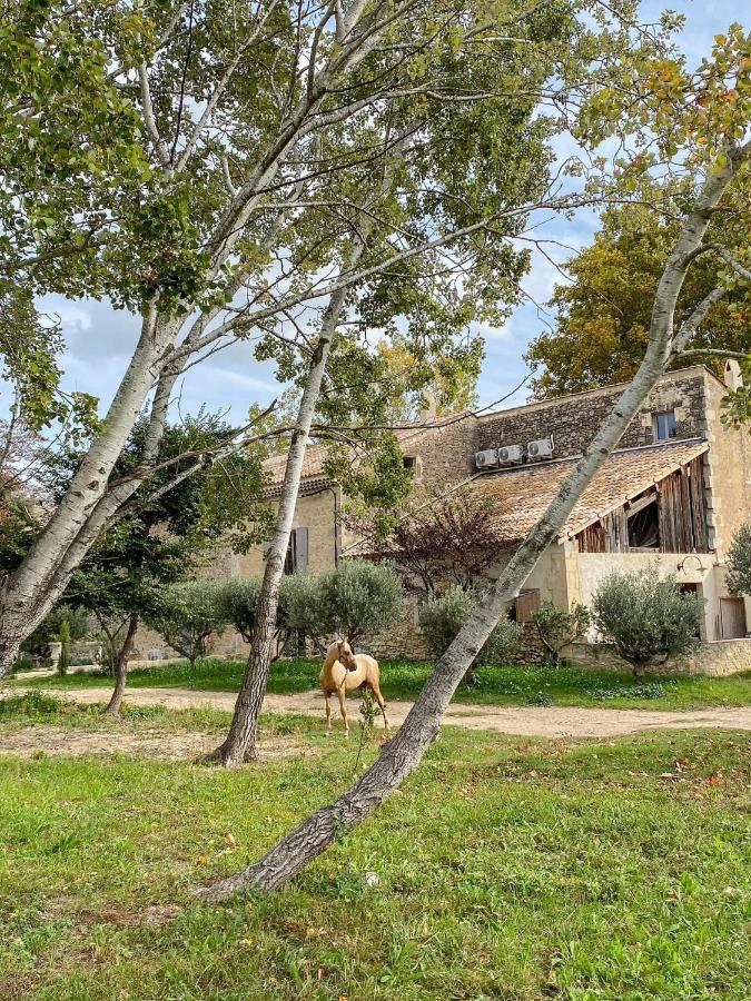 Bed and Breakfast Domaine Cap Rubis Paradou Exterior foto